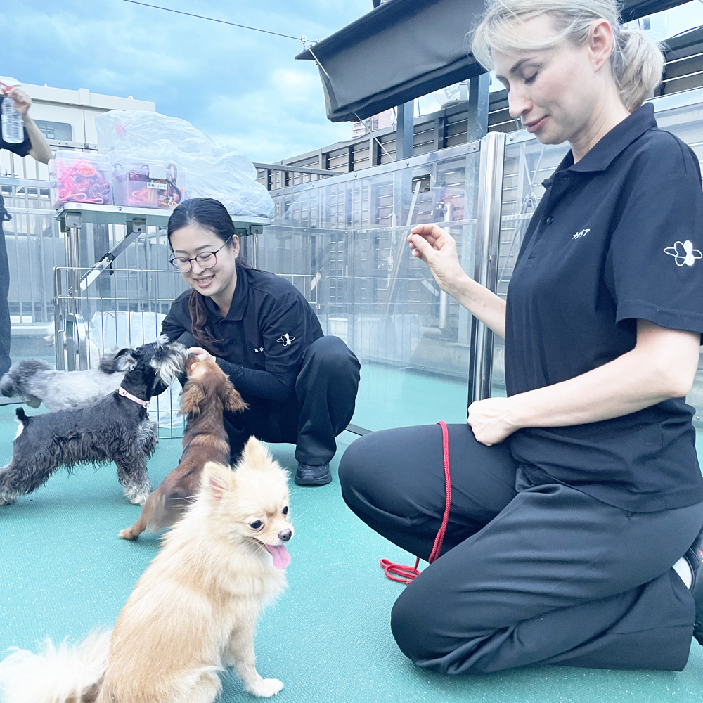 夜間部の時間にお散歩！